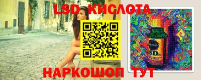 МДПВ Новозыбков