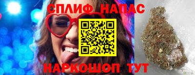 МДПВ Новозыбков