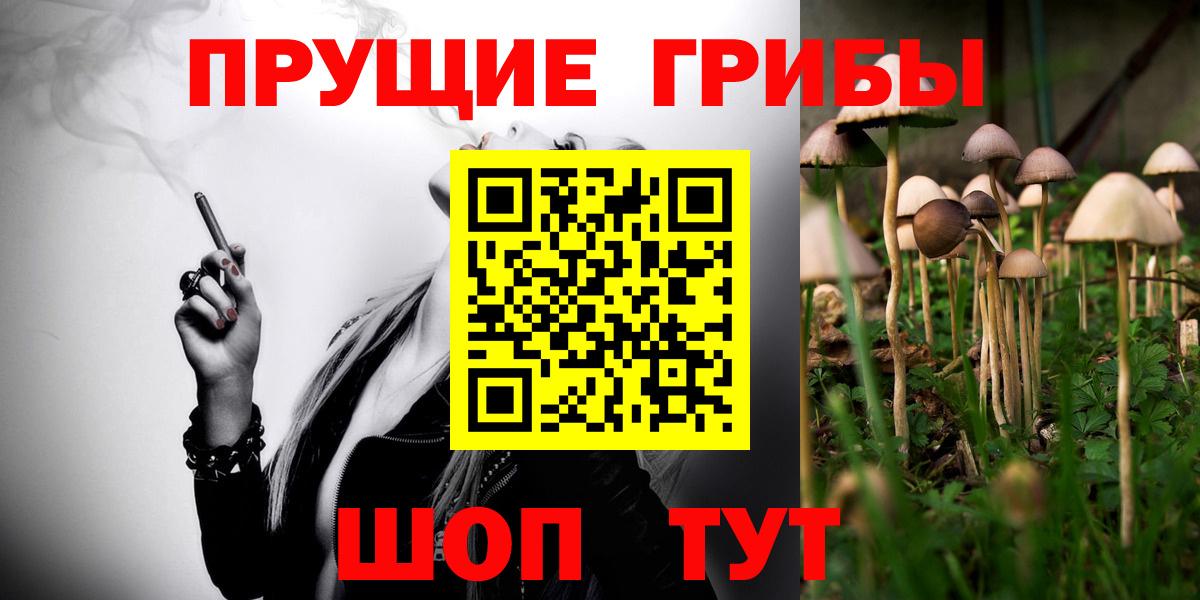 Галлюциногенные грибы прущие грибы  Вход с VPN  Псилоцибиновые грибы GOLDEN TEACHER  Тайшет 